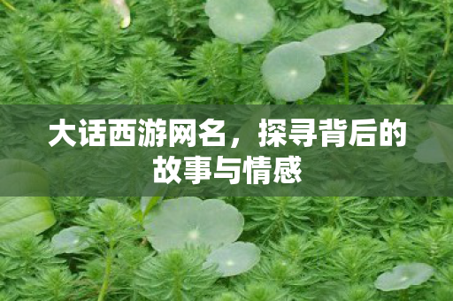 大话西游网名,探寻背后的故事与情感 大话西游网名,探寻背后的故事与情感