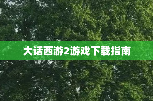 大话西游2游戏下载指南