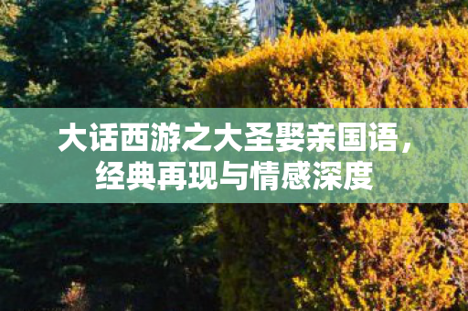 大话西游之大圣娶亲国语,经典再现与情感深度 大话西游之大圣娶亲国语,经典再现与情感深度
