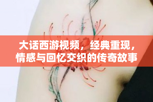 大话西游视频，经典重现，情感与回忆交织的传奇故事