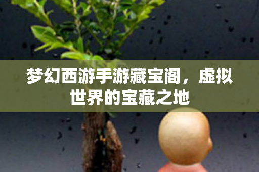 梦幻西游手游藏宝阁，虚拟世界的宝藏之地