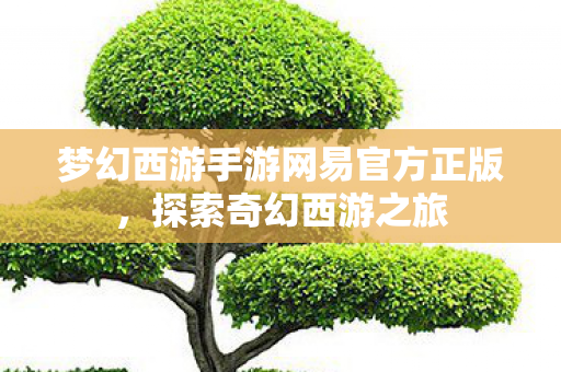 梦幻西游手游网易官方正版，探索奇幻西游之旅