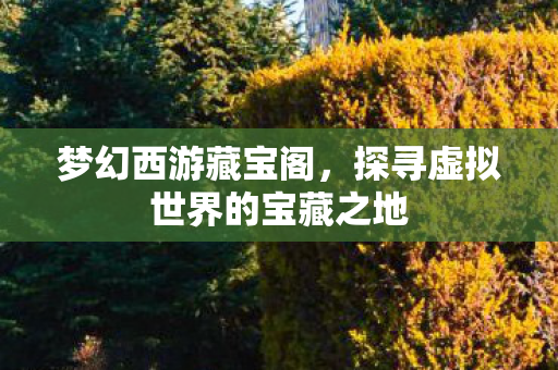 梦幻西游藏宝阁，探寻虚拟世界的宝藏之地