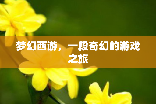 梦幻西游，一段奇幻的游戏之旅