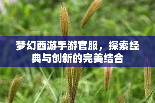 梦幻西游手游官服，探索经典与创新的完美结合
