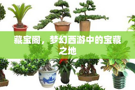 藏宝阁,梦幻西游中的宝藏之地 藏宝阁,梦幻西游中的宝藏之地