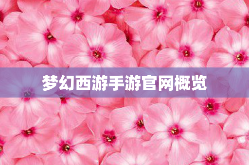 梦幻西游手游官网概览 梦幻西游手游官网概览
