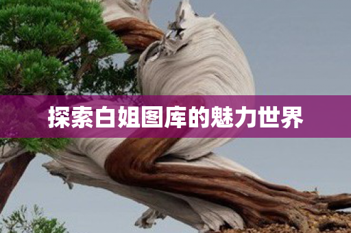 探索白姐图库的魅力世界