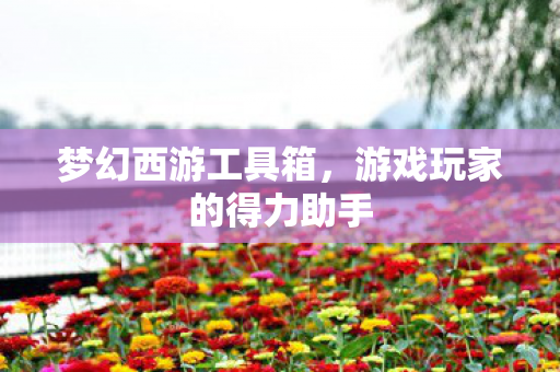 梦幻西游工具箱，游戏玩家的得力助手
