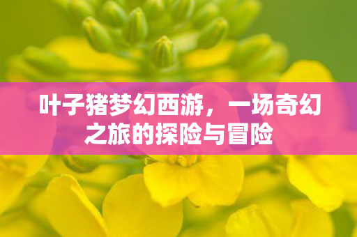 叶子猪梦幻西游,一场奇幻之旅的探险与冒险 叶子猪梦幻西游,一场奇幻之旅的探险与冒险