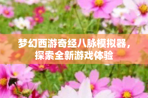 梦幻西游奇经八脉模拟器,探索全新游戏体验 梦幻西游奇经八脉模拟器,探索全新游戏体验