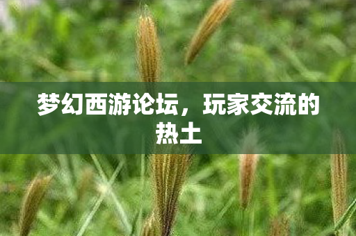 梦幻西游论坛，玩家交流的热土