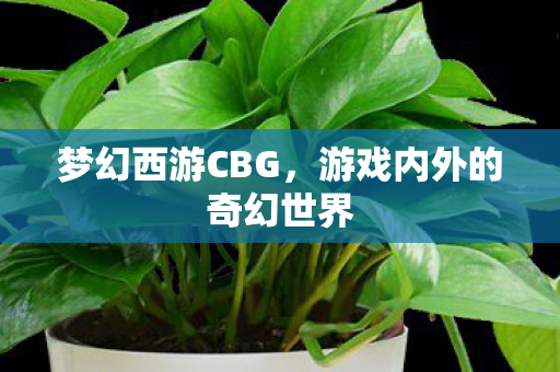 梦幻西游CBG，游戏内外的奇幻世界
