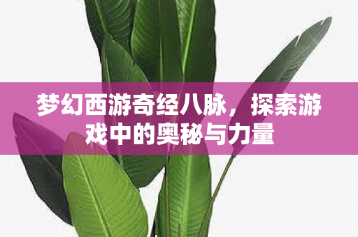 梦幻西游奇经八脉，探索游戏中的奥秘与力量