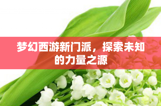 梦幻西游新门派，探索未知的力量之源