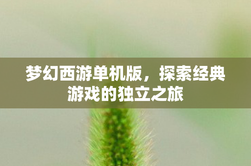 梦幻西游单机版，探索经典游戏的独立之旅