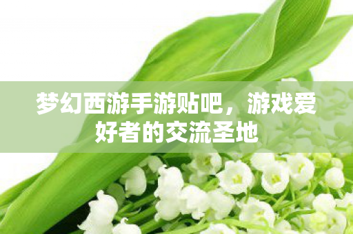 梦幻西游手游贴吧，游戏爱好者的交流圣地