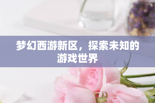 梦幻西游新区，探索未知的游戏世界