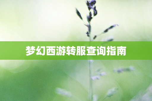 梦幻西游转服查询指南