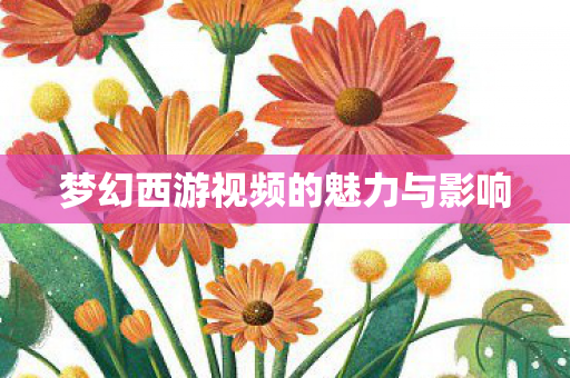 梦幻西游视频的魅力与影响