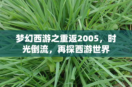 梦幻西游之重返2005，时光倒流，再探西游世界
