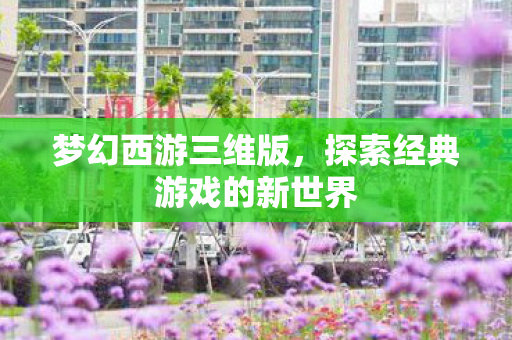 梦幻西游三维版，探索经典游戏的新世界