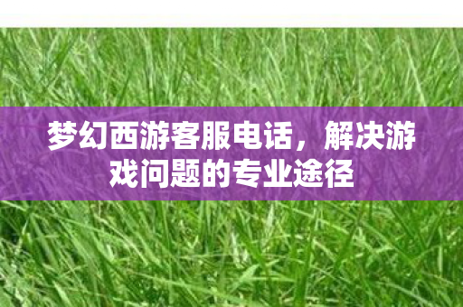 梦幻西游客服电话，解决游戏问题的专业途径