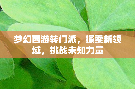 梦幻西游转门派,探索新领域,挑战未知力量 梦幻西游转门派,探索新领域,挑战未知力量
