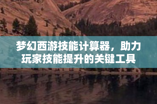 梦幻西游技能计算器，助力玩家技能提升的关键工具