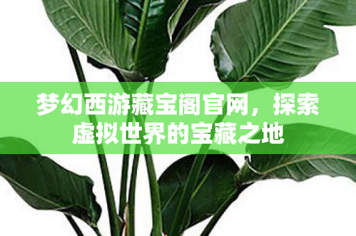 梦幻西游藏宝阁官网，探索虚拟世界的宝藏之地