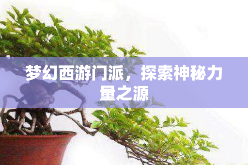 梦幻西游门派，探索神秘力量之源