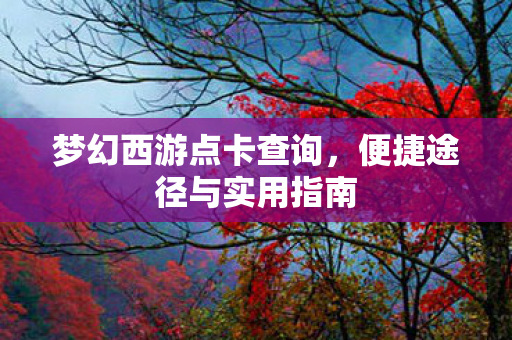 梦幻西游点卡查询，便捷途径与实用指南
