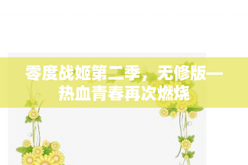 零度战姬第二季，无修版—热血青春再次燃烧
