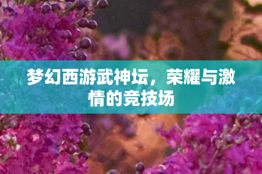 梦幻西游武神坛，荣耀与激情的竞技场
