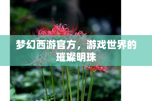 梦幻西游官方，游戏世界的璀璨明珠