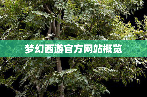 梦幻西游官方网站概览