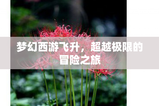 梦幻西游飞升，超越极限的冒险之旅