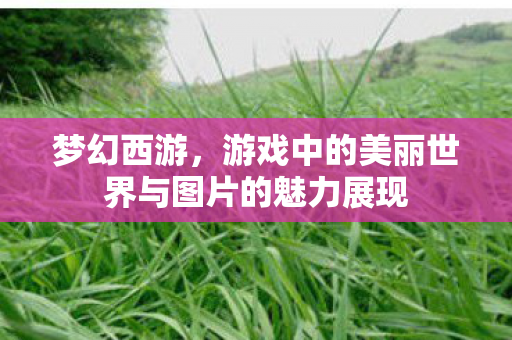 梦幻西游，游戏中的美丽世界与图片的魅力展现