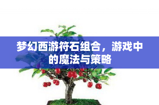 梦幻西游符石组合,游戏中的魔法与策略 梦幻西游符石组合,游戏中的魔法与策略