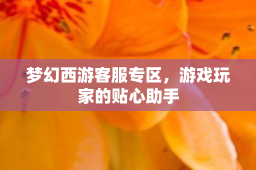 梦幻西游客服专区，游戏玩家的贴心助手