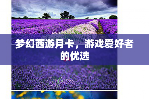 梦幻西游月卡，游戏爱好者的优选