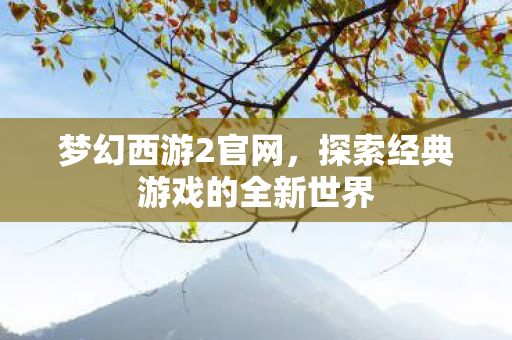 梦幻西游2官网,探索经典游戏的全新世界 梦幻西游2官网,探索经典游戏的全新世界