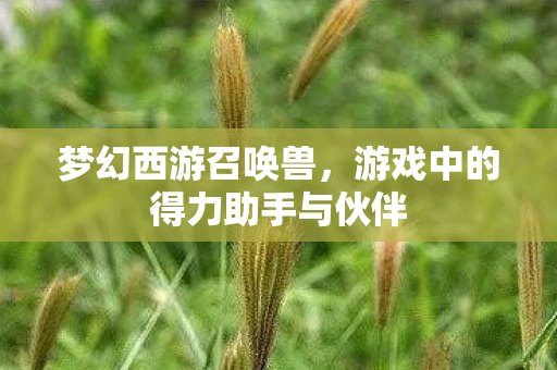 梦幻西游召唤兽，游戏中的得力助手与伙伴