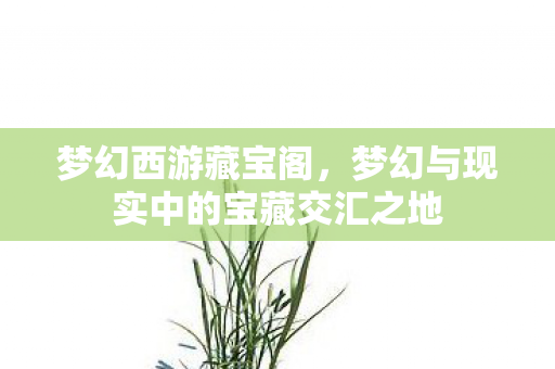 梦幻西游藏宝阁，梦幻与现实中的宝藏交汇之地