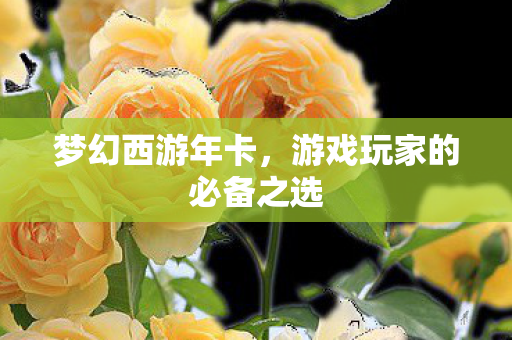 梦幻西游年卡，游戏玩家的必备之选