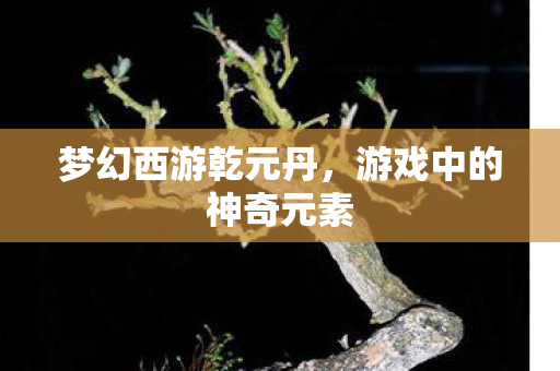 梦幻西游乾元丹,游戏中的神奇元素 梦幻西游乾元丹,游戏中的神奇元素