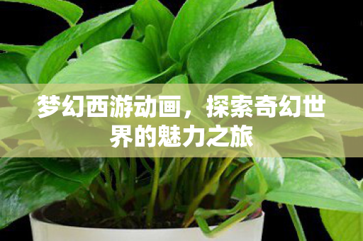 梦幻西游动画，探索奇幻世界的魅力之旅