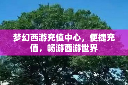梦幻西游充值中心，便捷充值，畅游西游世界