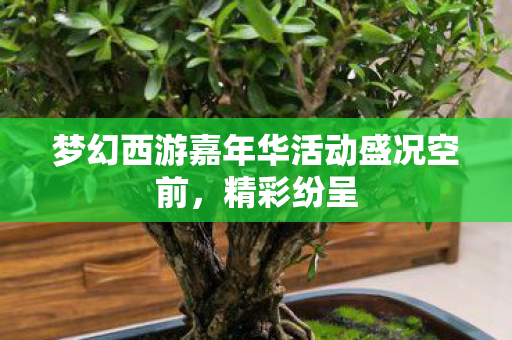 梦幻西游嘉年华活动盛况空前，精彩纷呈