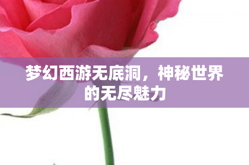 梦幻西游无底洞，神秘世界的无尽魅力